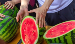 今日吃瓜5,揭秘娱乐圈最新热点事件