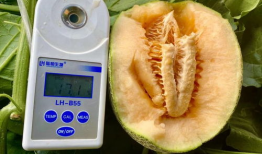 今日吃瓜合集,娱乐圈风云再起，热点事件盘点